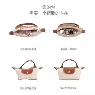 mini Longchamp
