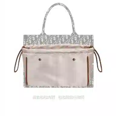 DiorBook tote