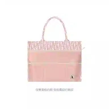 Dior Book Tote Organizer