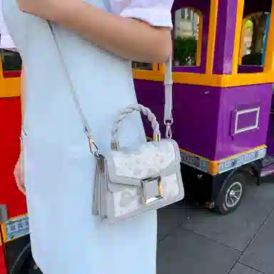 CAEISL&KCIEL Butterfly Jacquard Bag