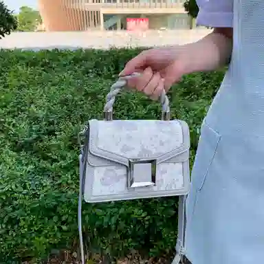 CAEISL&KCIEL Butterfly Jacquard Bag