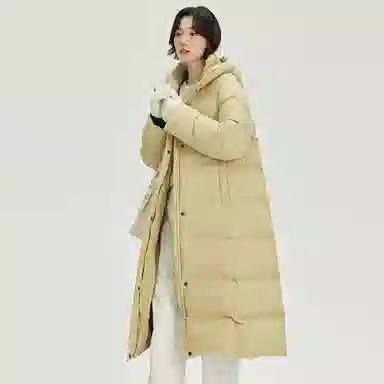 SNOW FLYING H