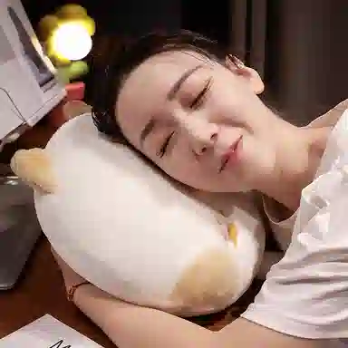 公主恋人 可爱小动物三用抱枕毯 玩偶周边