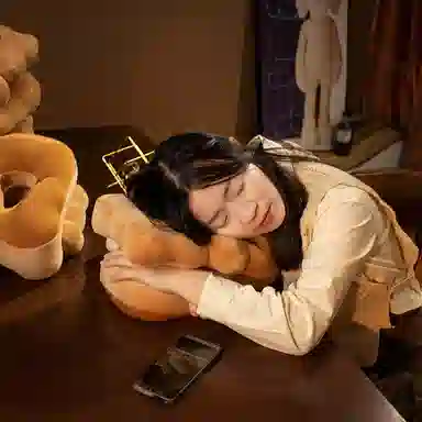 Princess Lover Capybara Nap Pillow