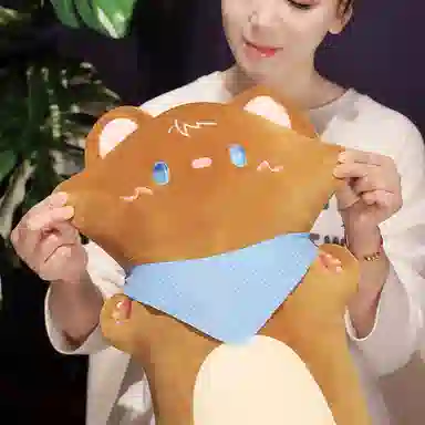 公主恋人 可爱卡通猫咪长条枕 玩偶 毛绒公仔