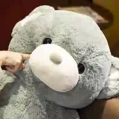 公主恋人 抱心熊 爱心熊 表白熊 泰迪熊 睡觉抱枕 玩偶 毛绒公仔