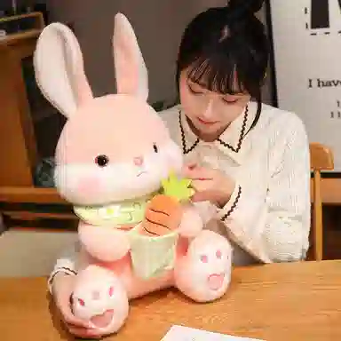 公主恋人 坐姿呆萌爱妮兔儿童安抚娃娃 玩偶 毛绒公仔