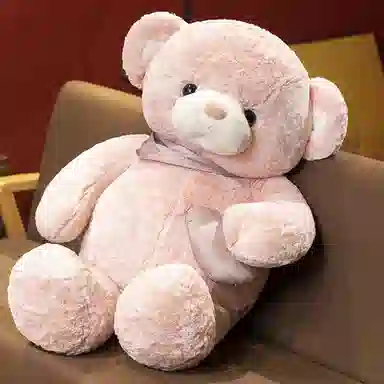 公主恋人 抱心熊 爱心熊 表白熊 泰迪熊 睡觉抱枕 玩偶 毛绒公仔