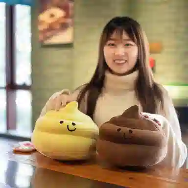 公主恋人 卡通大便抱枕 玩偶 毛绒公仔