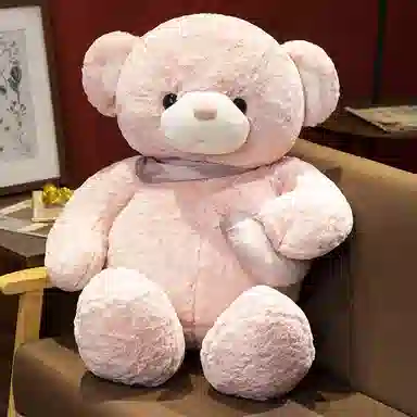 公主恋人 抱心熊 爱心熊 表白熊 泰迪熊 睡觉抱枕 玩偶 毛绒公仔