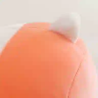 公主恋人 草莓水果免 陪伴萌物 可爱萌兔 玩偶 毛绒公仔