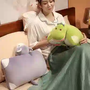 公主恋人 多功能冰豆豆午睡枕小枕头 玩偶 毛绒公仔