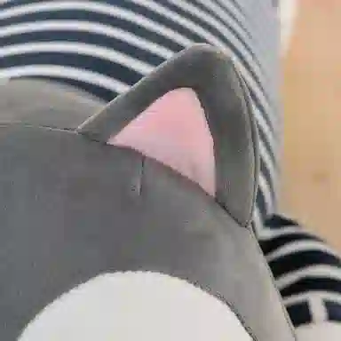 公主恋人 趴拘大抱枕 玩偶 毛绒公仔