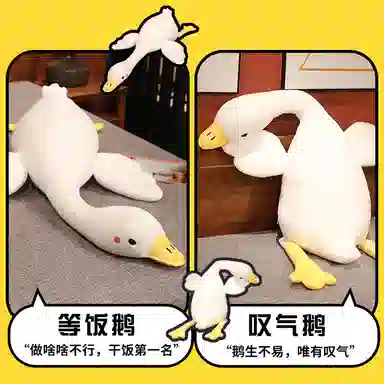 50cm70cm90cm110cm130cm150cm