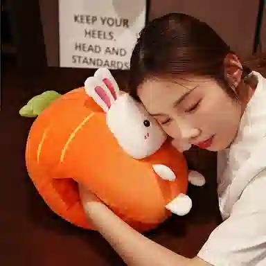 公主恋人 超萌可爱暖手抱枕 玩偶 毛绒公仔