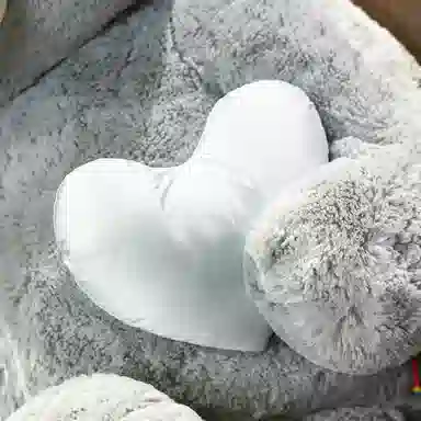 公主恋人 抱心熊 爱心熊 表白熊 泰迪熊 睡觉抱枕 玩偶 毛绒公仔