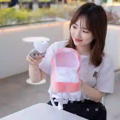 公主恋人 表白戒指 创意心形钻戒 玩偶 毛绒公仔