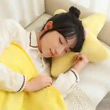 公主恋人 陪伴可爱五角星动物抱枕 创意布娃娃 玩偶 毛绒公仔