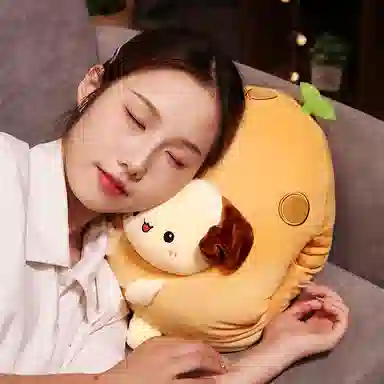 公主恋人 超萌可爱暖手抱枕 玩偶 毛绒公仔