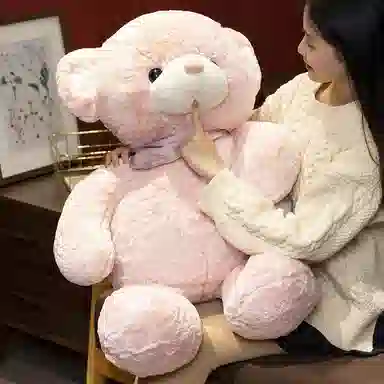 公主恋人 抱心熊 爱心熊 表白熊 泰迪熊 睡觉抱枕 玩偶 毛绒公仔