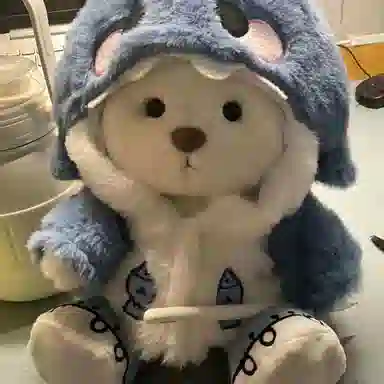 公主恋人 可爱熊娃衣 治愈创意 玩偶周边