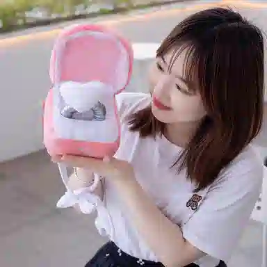 公主恋人 表白戒指 创意心形钻戒 玩偶 毛绒公仔