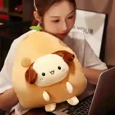 公主恋人 超萌可爱暖手抱枕 玩偶 毛绒公仔