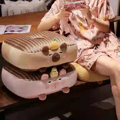 公主恋人 卡皮巴拉冰藤蒲团坐垫 玩偶周边