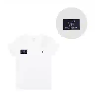 Polo Ralph Lauren Logo V T