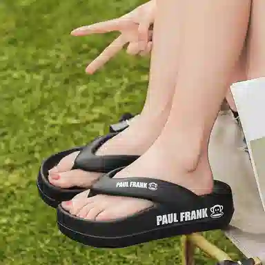 paul frank 2024