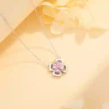 ins S925