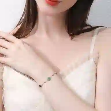 ins 925