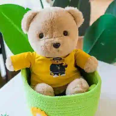 雄俊 穿衣小熊 乖乖熊抱抱熊泰迪熊 玩偶 毛绒公仔