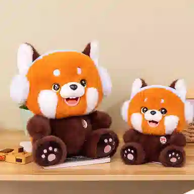 25cm35cm