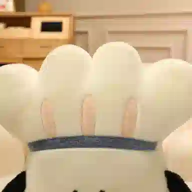 55cm