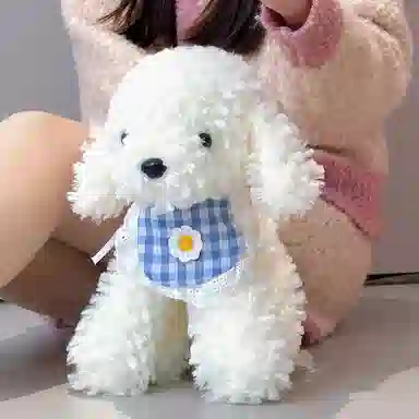 26cm32cm