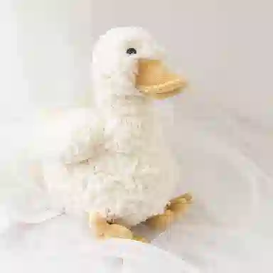 20cm