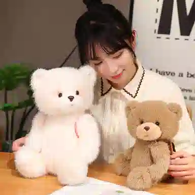25cm35cm