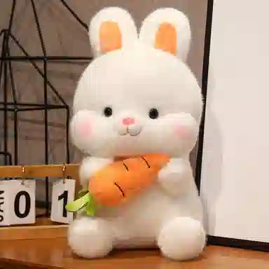 26cm38cm50cm