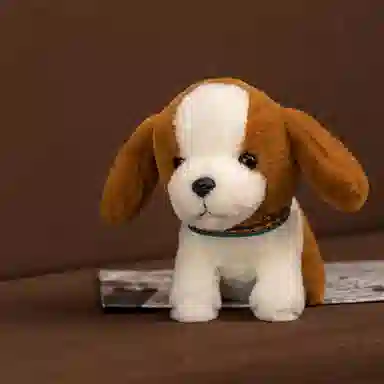 25cm