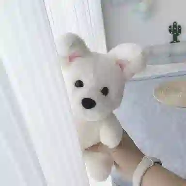 23cm
