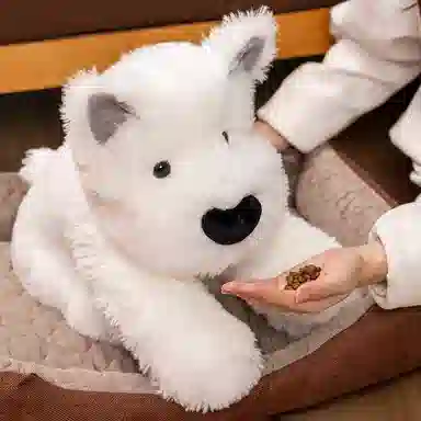 35cm