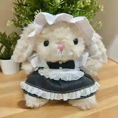 15cm