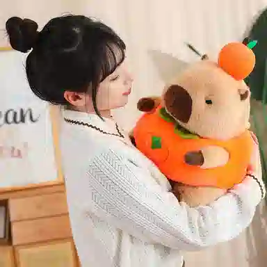 30cm40cm