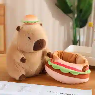 30cm40cm