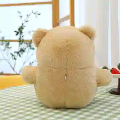3 35cm55cm