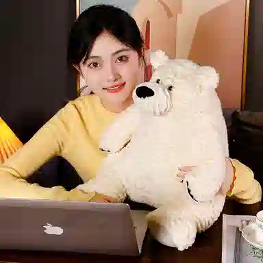 30cm50cm
