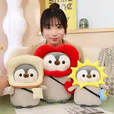 25cm35cm