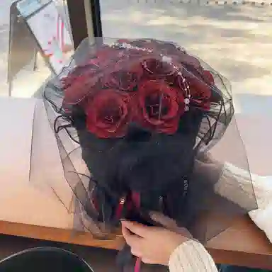 25cm35cm