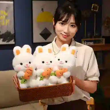 26cm38cm50cm